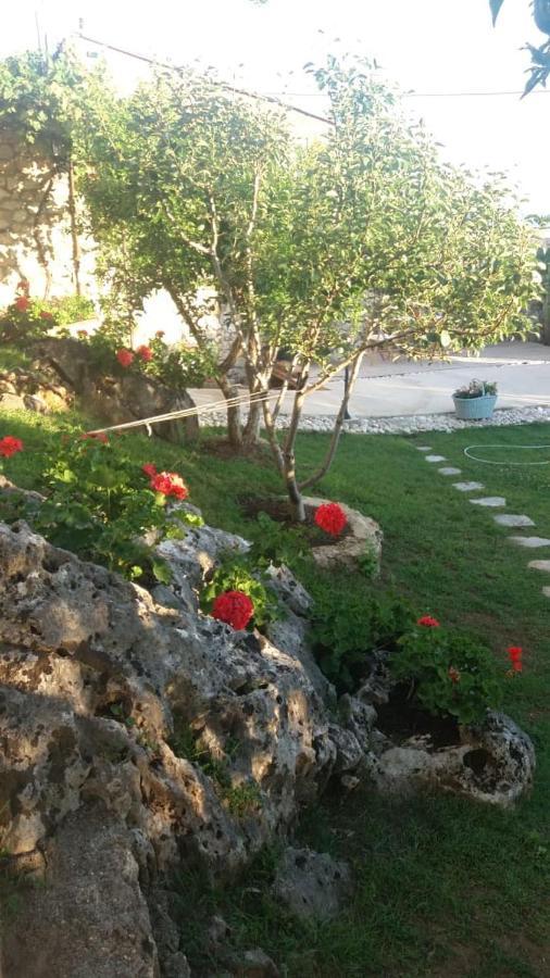 Villa Kostandin كيبارو المظهر الخارجي الصورة