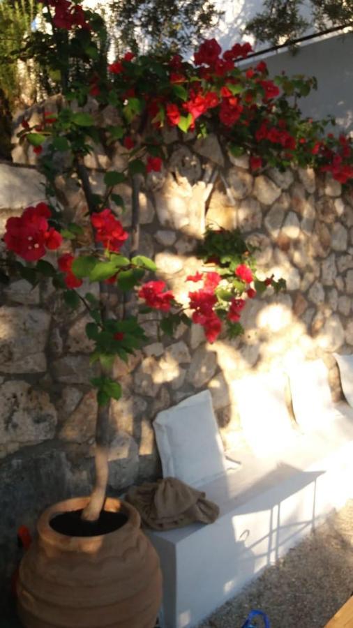 Villa Kostandin كيبارو المظهر الخارجي الصورة